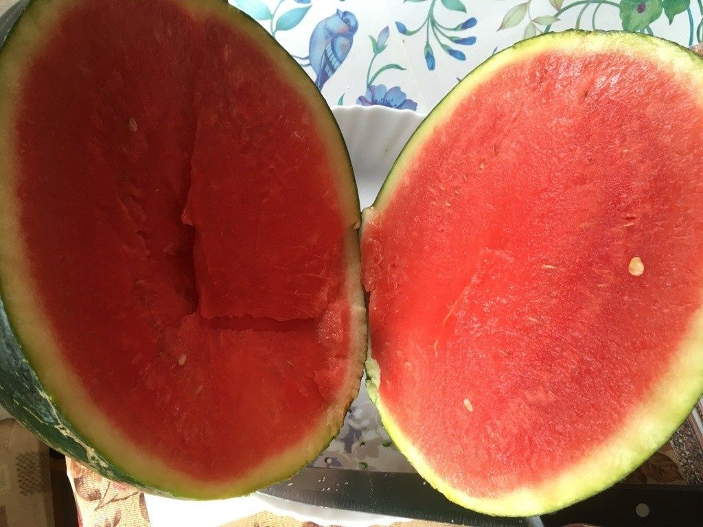 ������ ��� ��������: ��������� ��� �����������?