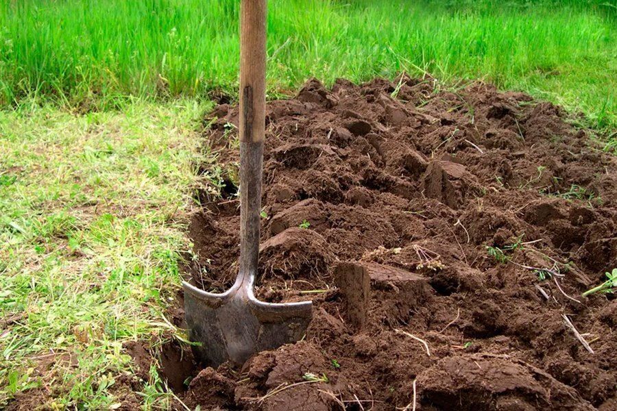 ��� ������� ����� ������� ��������� � ���������� ��� ���������� �����