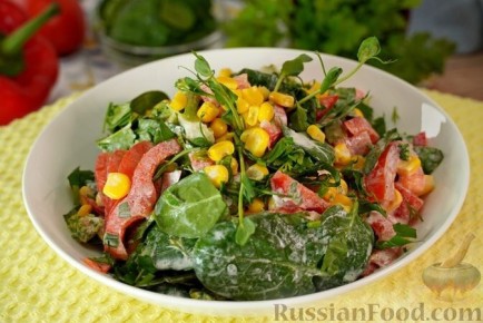 ������ �������� ���� ����� � ������: ���� �� ������ ���� ��� ������ ��������