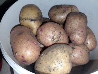 ������ ����� ��������� ��� �������� ����: ��� �������� ���������� ������