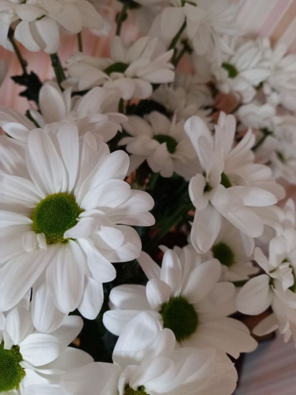 ���������� �������: ��� ������ �������� ������������ �������