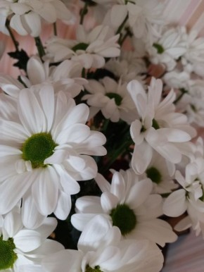 ���������� �������: ��� ������ �������� ������������ �������