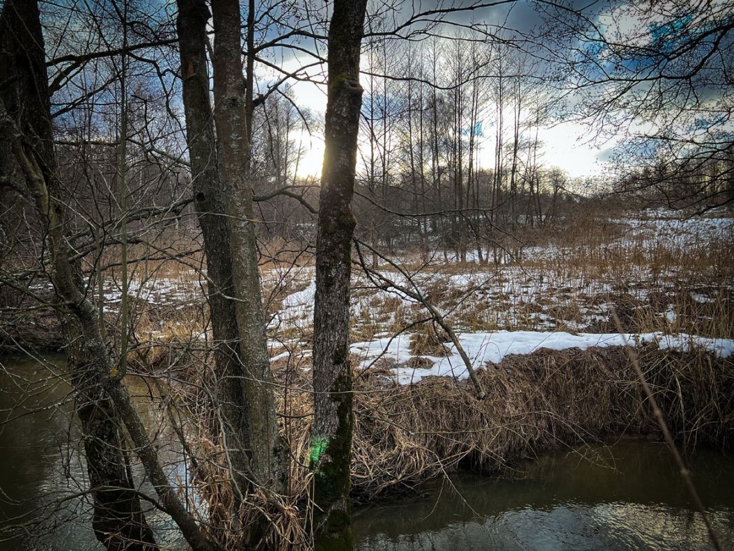 ������ ����: ��� ��� ������ �� ���� ����?