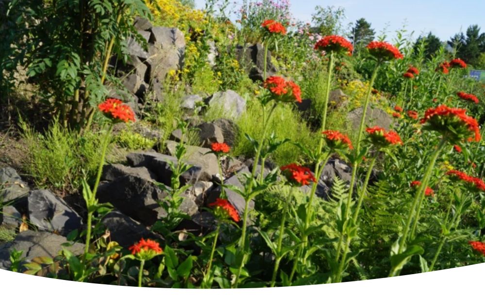 ������ ��������� ���������: ������ � ���� � 20 �� 26 ����