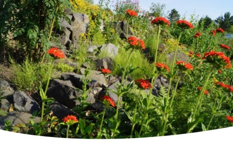 ������ ��������� ���������: ������ � ���� � 20 �� 26 ����