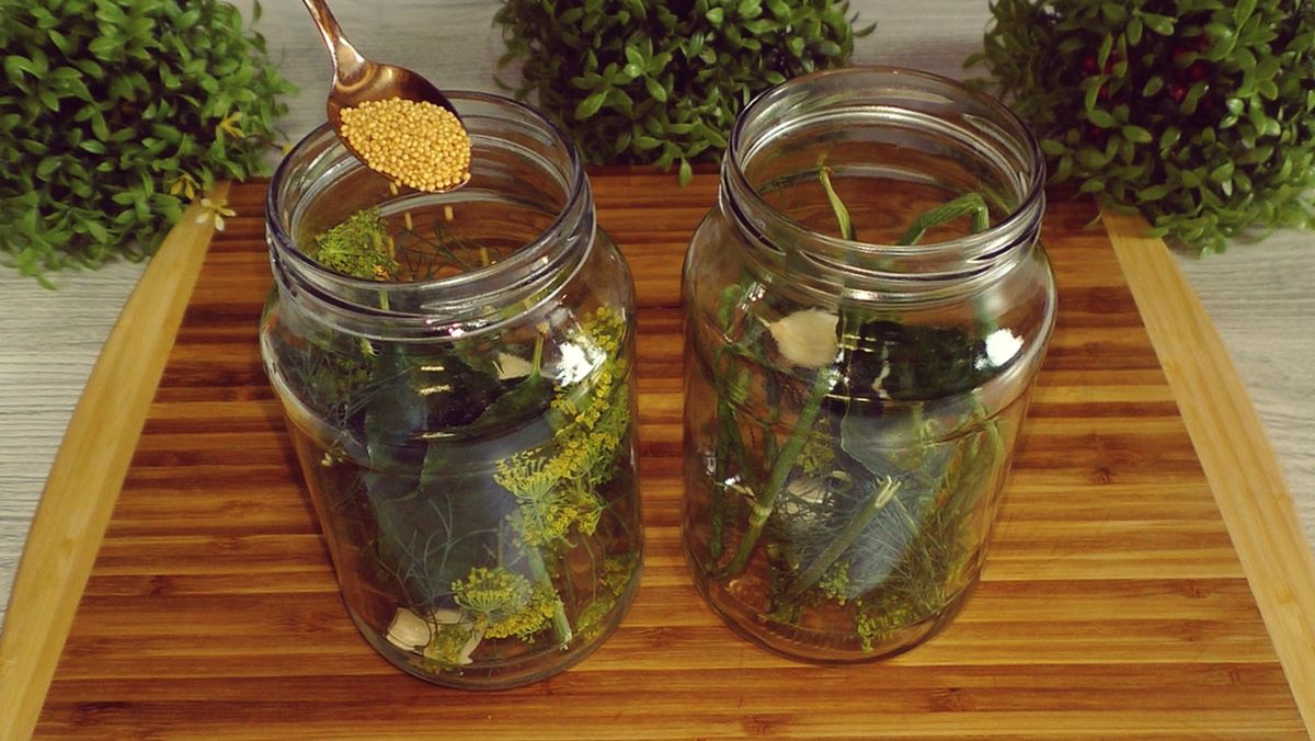 �������� ������� �� Wildberries � ������ �������� ��������� �� ����