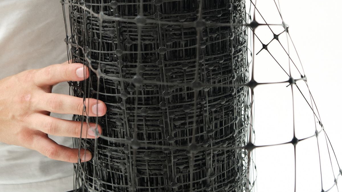 ������ ���������� ����������� �����: ������� ������� �����