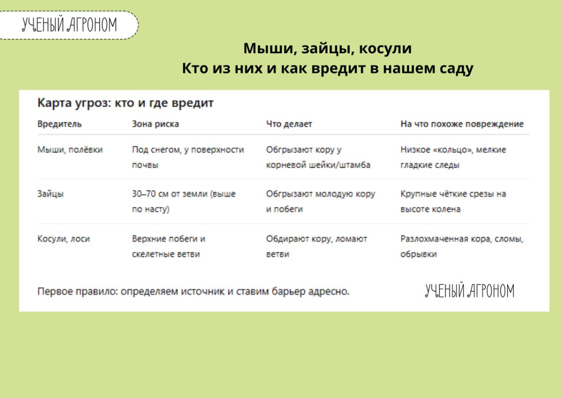 ������ ������ ��� ������ ����: ��� �������� ������� �� ������ � ��������