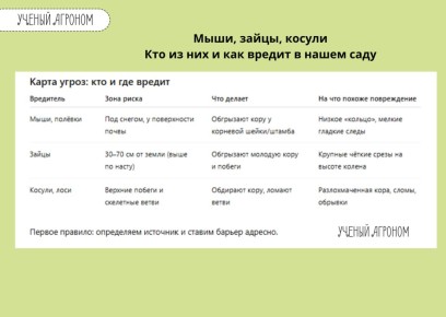 ������ ������ ��� ������ ����: ��� �������� ������� �� ������ � ��������