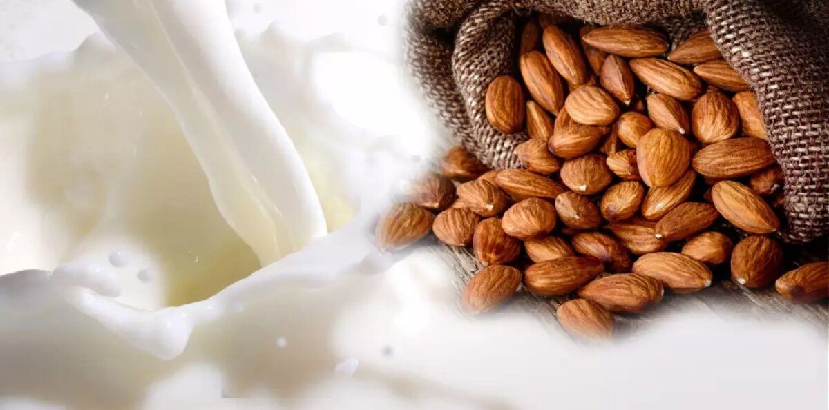 �������������� ������: ��� ������� ������ �������� ������������