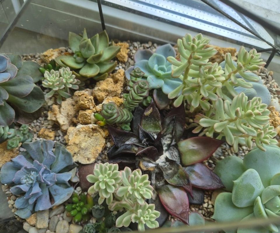 ��� ��������� ��������� ���������: ���������������� ������ � �� �������