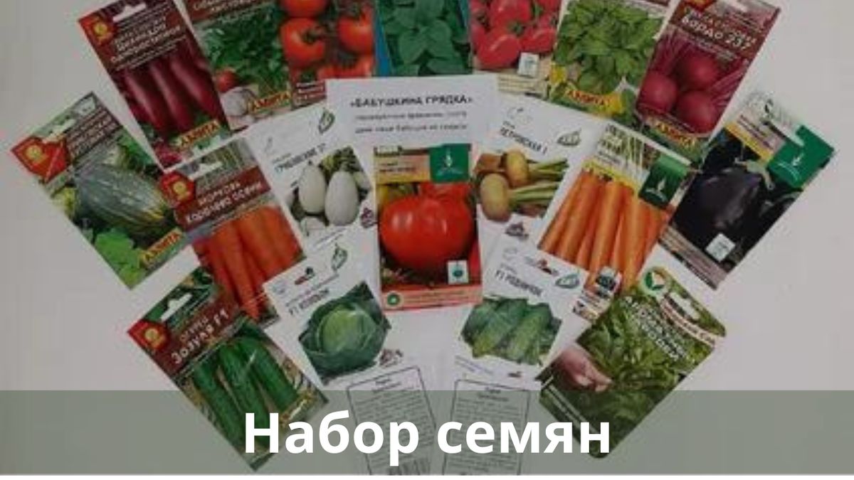 �� ��� �������� �������� ��� ������� �����: ������ ��� �����������