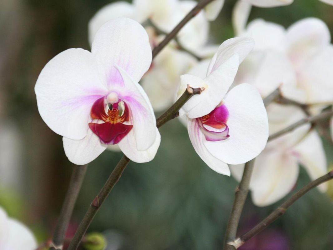 ���� �� �������� ����� ��������: ������� �������