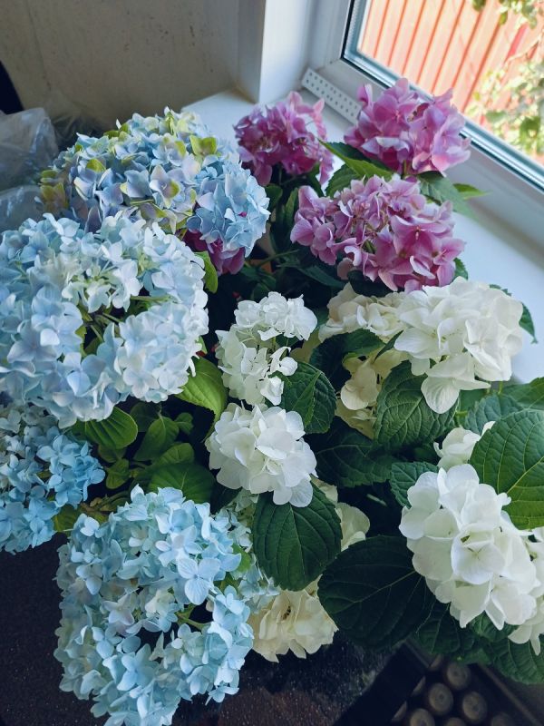 ��������� ��� �������: ��� ���������������� ��������� �������� ������ � ����� �� ����������