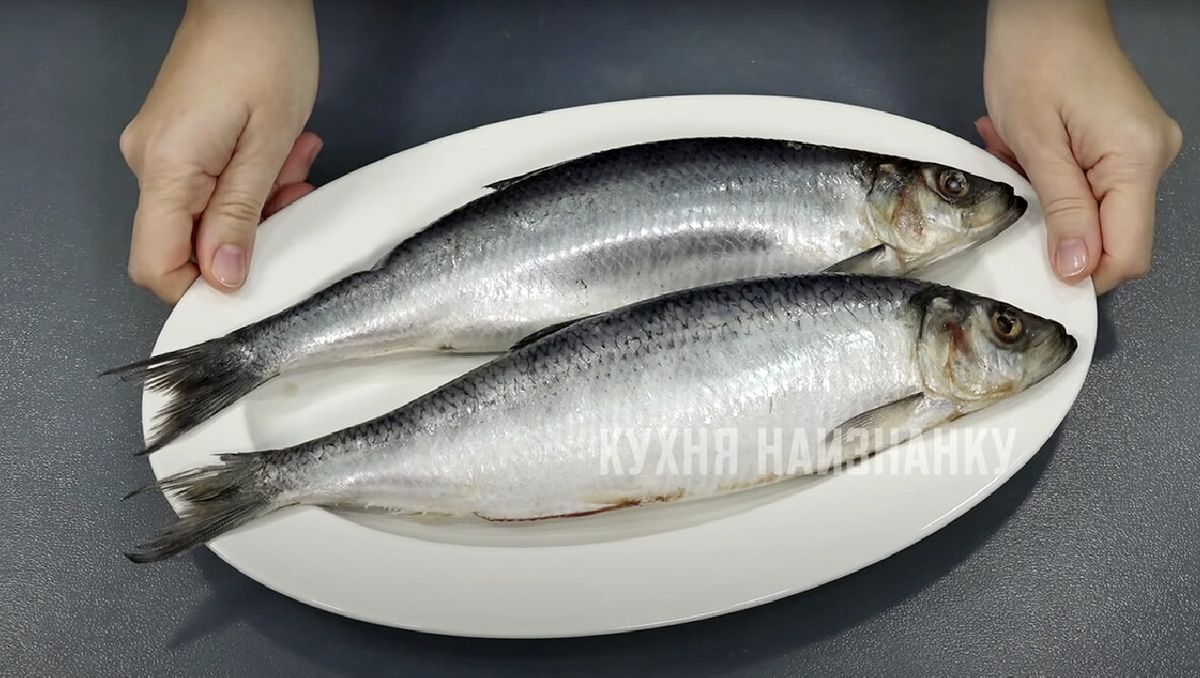 ��������� �����������: ������ ������ �� ��� ���������� � ������ �������� �� �����