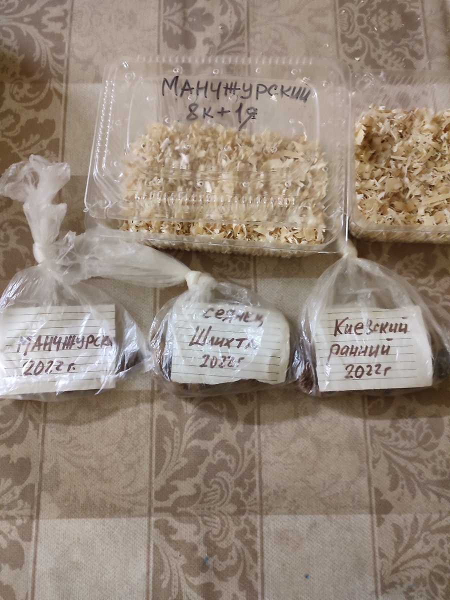 Магия персиков: от косточки до плодоносящего дерева