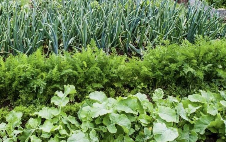 ��� �������� � ��������� � ��������� ������ ��� ������ ������