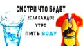 Утреннее питье воды: что происходит с организмом и как это влияет на здоровье
