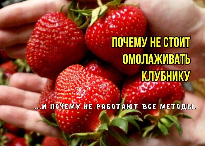 ������ ������ �������� ��������� ��� ���������� ��������: ��� ������, ������� �� ��������