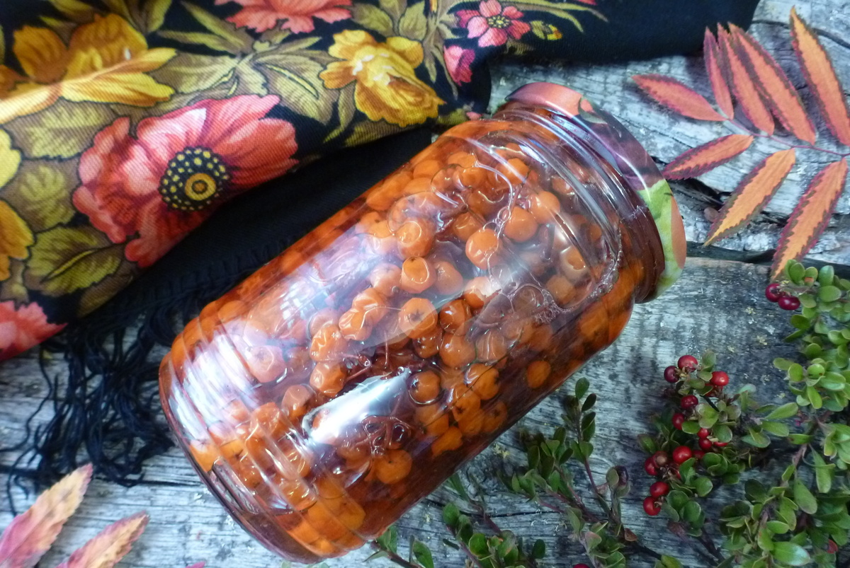 Как правильно заготовить рябину в сиропе: секреты вкусного лакомства