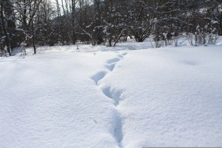 ����: ������ �������� ��� ������� ���� ��� �������� �����?