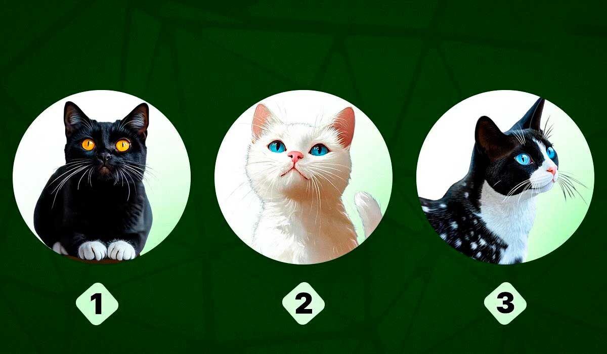 ����� �� �� ����� ����? ������� ���� �������� � ������� �������� �����