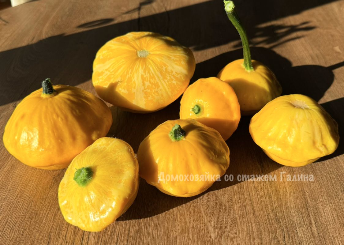 ������������ ���������, ������� ����� ������ ��������