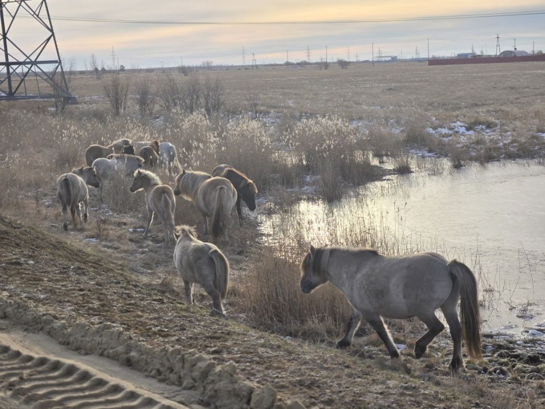 ���������� �������� ������: �������� �� ����������