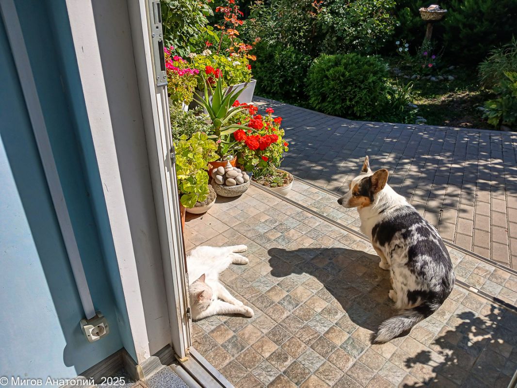 ����� ����������� ������� �������� �������� ���� ������� � ��������� �����