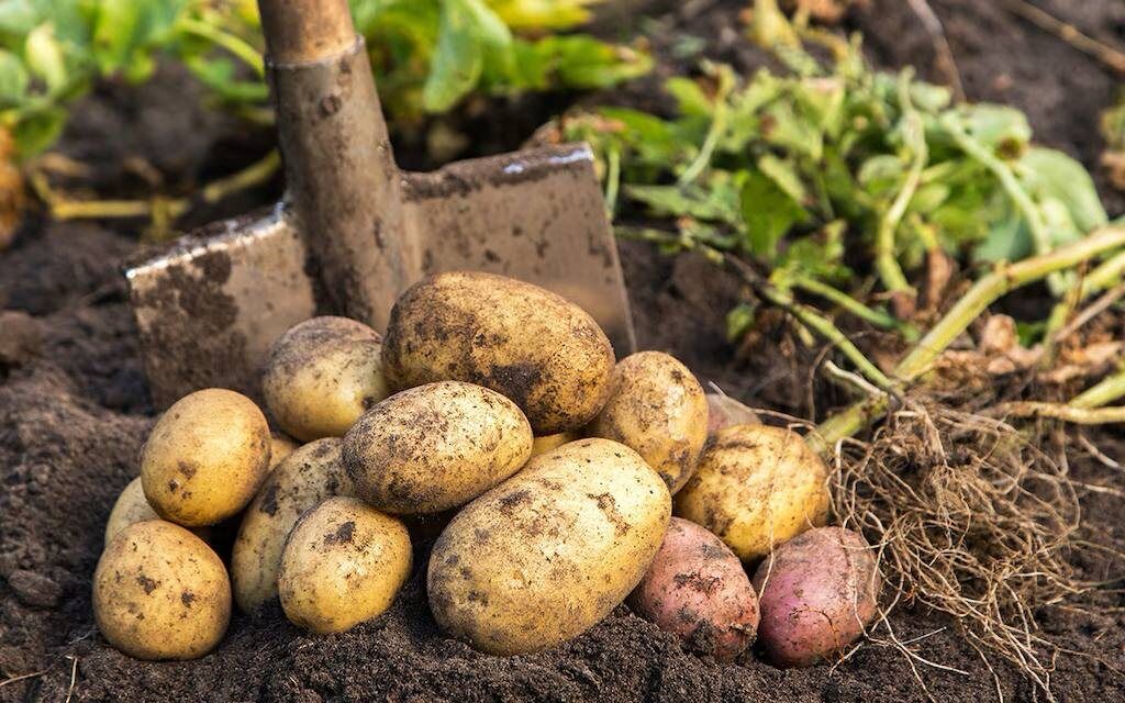 ���������: ����� � ����� � ������ �������� ��������