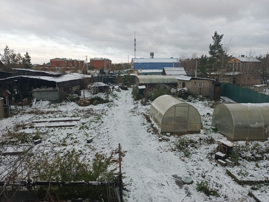 ��� ���� ������ ����� � ����������� �� ���������� ������������