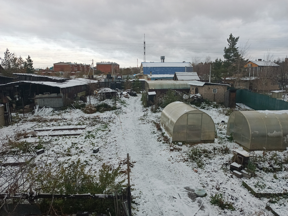 Как снег меняет будни и вдохновляет на кулинарные эксперименты