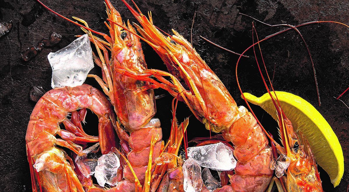 ������� �����������: ��� ������ � ����� ����������� �������� � ����������