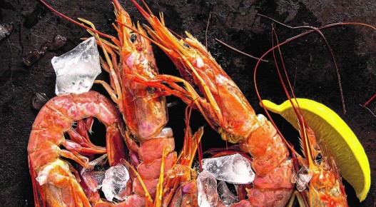 Морское вдохновение: как быстро и легко приготовить креветки и лангустины