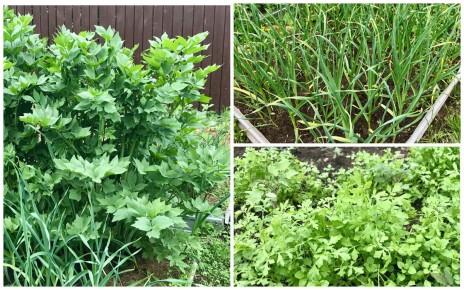 ��������� ������: ������� ������� ����� � ������