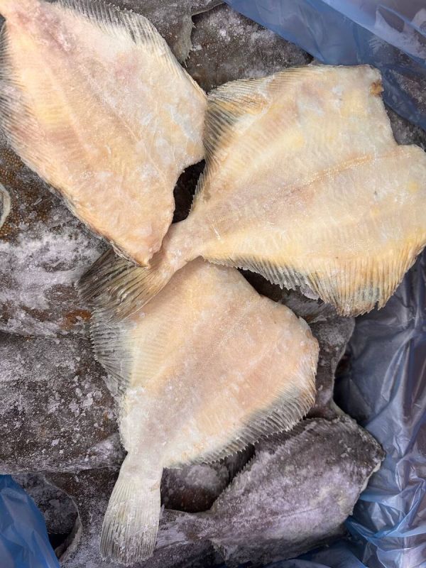 ������������ �������: ������ ���� �� ���� ����� 450 ������ �� ���������