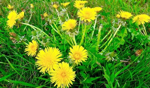 ������� ������� �� �����, ������� � �����������: ���������� ����������