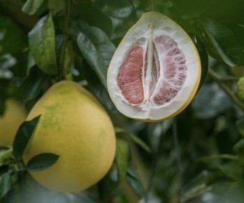 ������: �������� �������� � ��������� ����� ����� ������������� ������