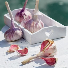 ������ � ������� ��������: �� ��������� �� ����� ����