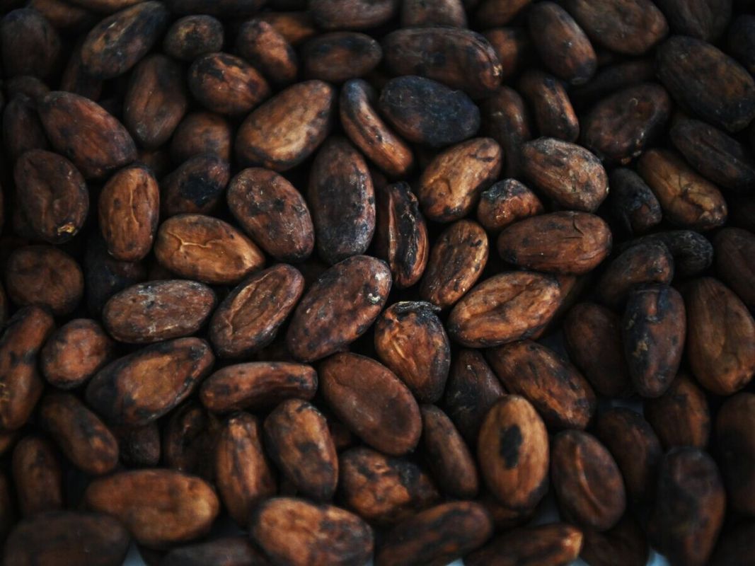 ���� �� �����-���� ���������� ������ ��������