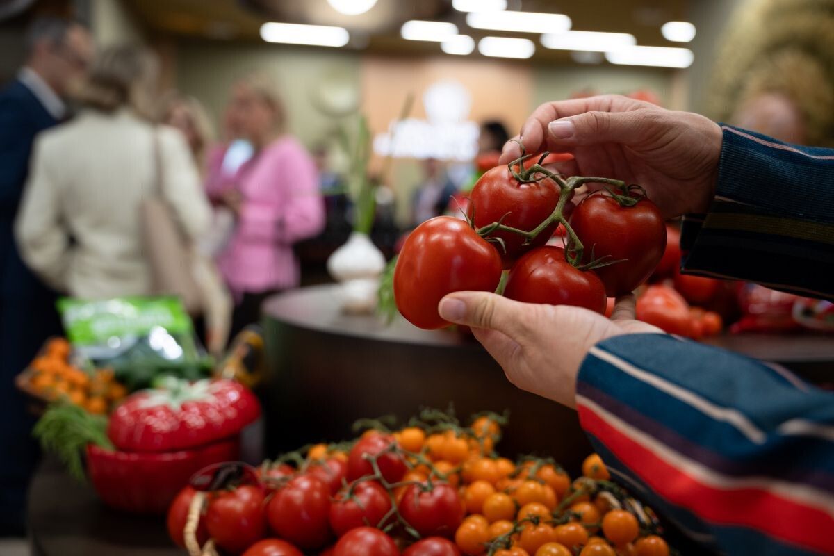 ��� ��������� �������� � ����: ����� �������� �������