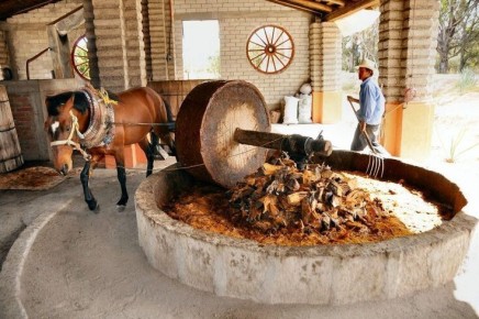 Мескаль Grand Mezcal La Escondida: традиции и качество в каждой капле