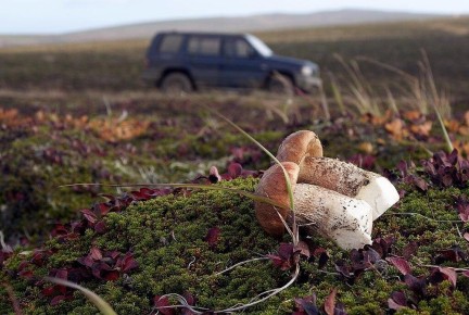 ������� �����: ����������� �� ���������� �����