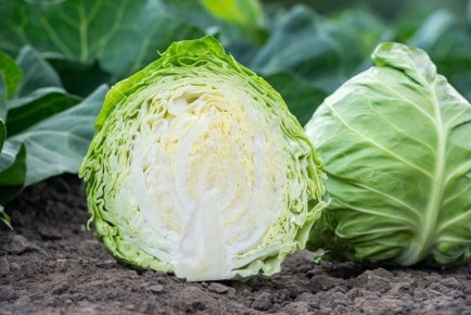 ������� - ��� ������ �������� � ������ � ������ �����