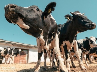 ��� ��������� � ����������� ��������� ��������� ��������