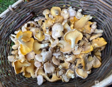 ����������� ���������� �������� ����� ���� � ����� ������