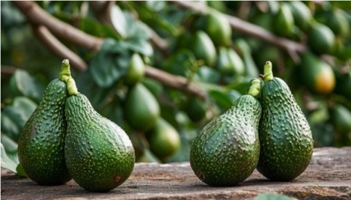 ����� � ������� � ������: ������� ������� ��� ������ �����