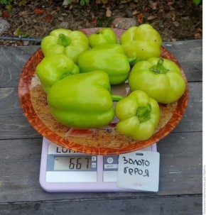 ������� ����� ������ �����: ������� �������� ������