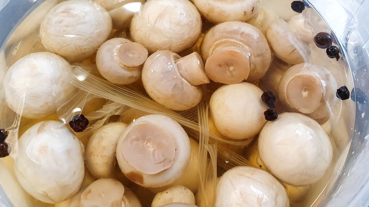 15 ����� �� ��������� ������������ �����������: ������� � ������� ������