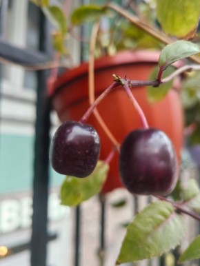 Вкусные радости: душевная еда и кулинарные находки